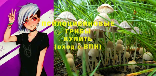 альфа пвп Дмитров