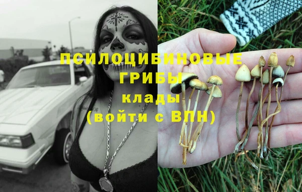 дмт Заволжск