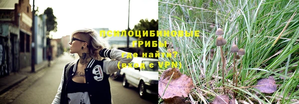 дмт Заволжск