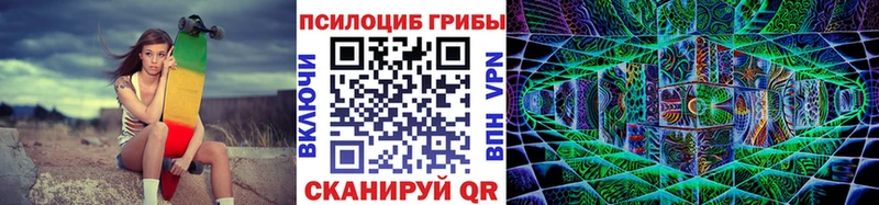где купить наркоту  Краснозаводск  Псилоцибиновые грибы Psilocybine cubensis 